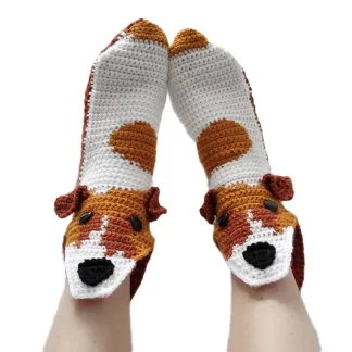 Jack Russell Terrier Dog Eating Foot Socks